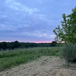 Maison De Charme Au Coeur Des Vignes - Bordeaux בית נופש Saint-Genes-de-Lombaud