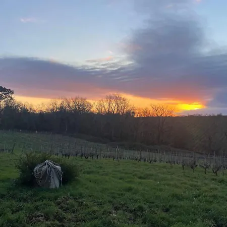 Дом отдыха Maison De Charme Au Coeur Des Vignes - Bordeaux *